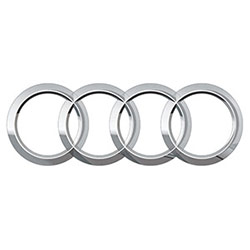 Audi - Gas Struts for Audi