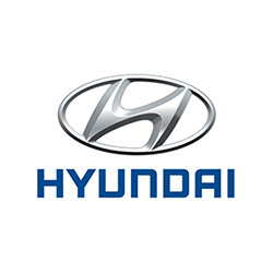 Hyundai - Gas Struts for Hyundai