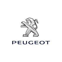 Peugeot Struts